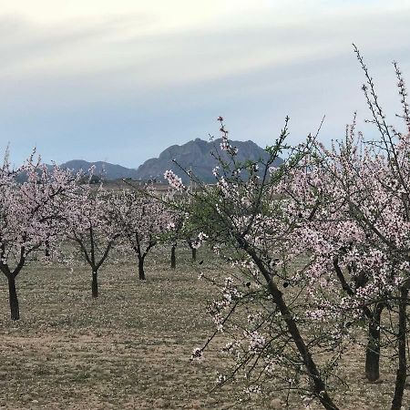 Cortijo De Los Castellanos Las Ventanas Εξωτερικό φωτογραφία