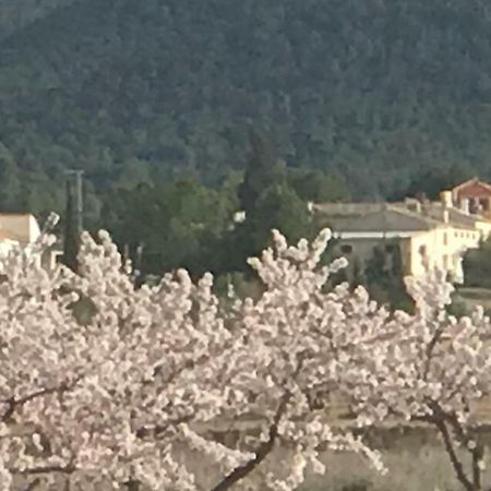 Cortijo De Los Castellanos Las Ventanas Εξωτερικό φωτογραφία