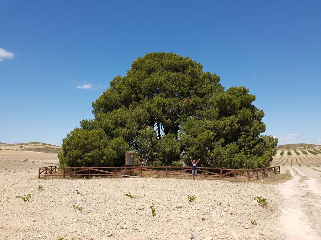 Cortijo De Los Castellanos Las Ventanas Εξωτερικό φωτογραφία