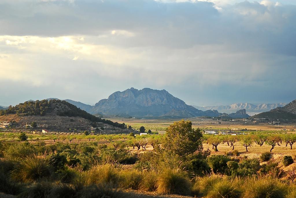 Cortijo De Los Castellanos Las Ventanas Εξωτερικό φωτογραφία